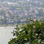 maj_3316-neu