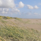 St. Peter Ording - Dünen4