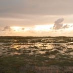 St. Peter Ording - Salzwiesen überflutet