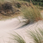St. Peter Ording - Dünen2