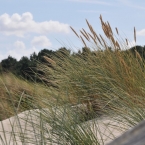St. Peter Ording - Dünen1