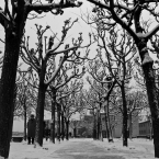 dresden9.jpg