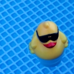 Ente