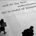 7757694.jpg