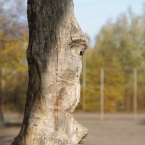 03-baumkopf.jpg